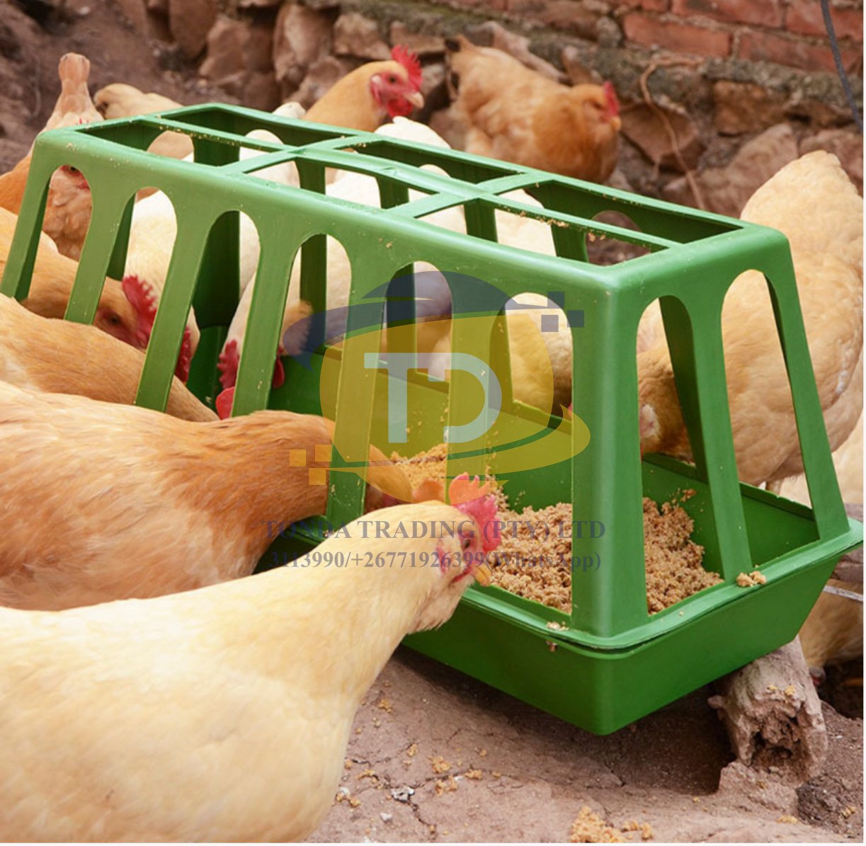Chicken Feeder — 800 × 240 mm